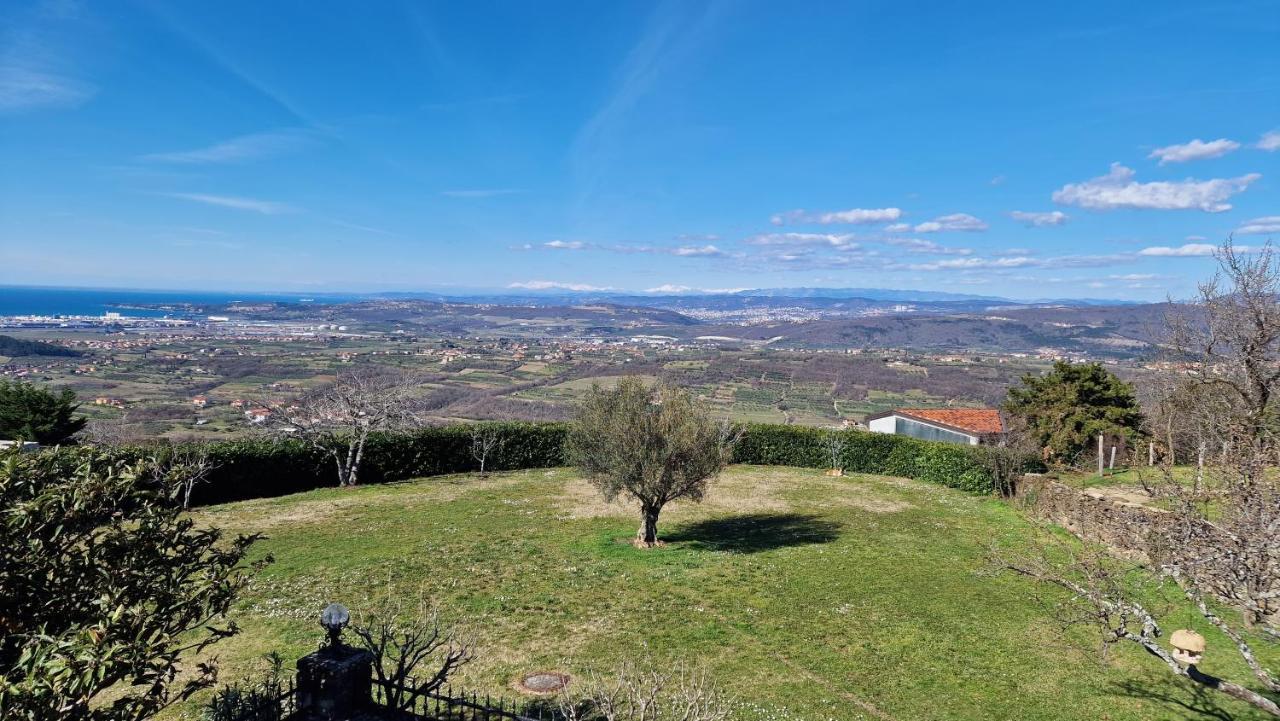Apartma Panorama Marezige Exteriör bild